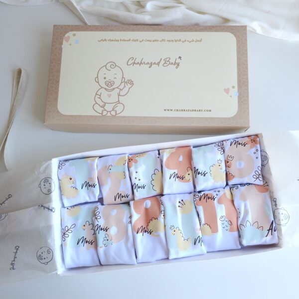 Coffret 12 Bodies en Coton dino - Mois par Mois - – Image 3